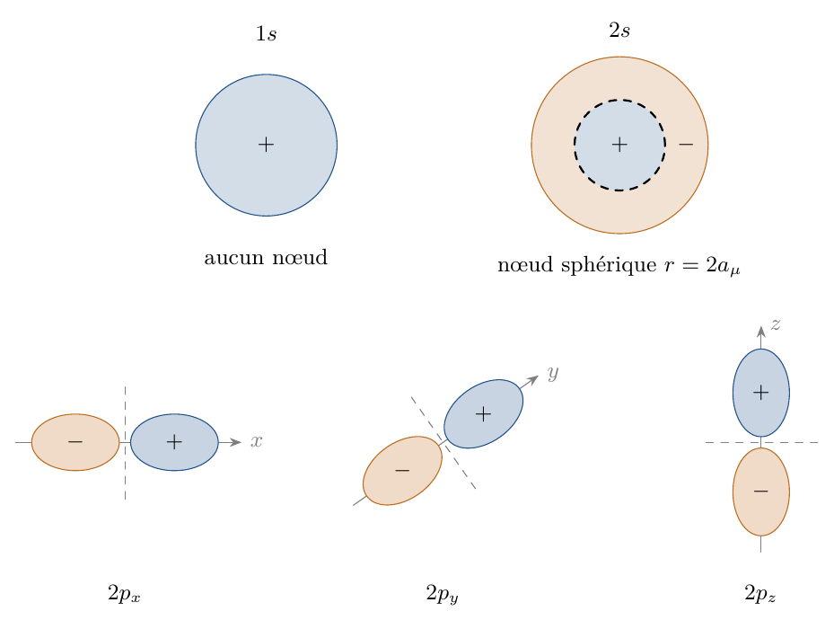 Signes et nœuds des premières orbitales réelles. Les lobes et cercles sont schématiques, avec des échelles choisies séparément. Les contours extérieurs ne sont pas des frontières de la fonction d’onde, qui possède des queues. Les orbitales 2p_x,2p_y,2p_z ont respectivement pour plans nodaux x=0, y=0, z=0.